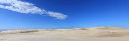 Sand Dunes - Fraser Island - QLD (PB5D 00 51A1195) (2)
